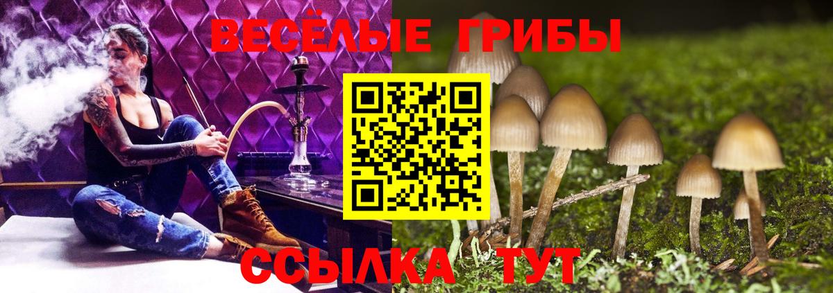 Элиста  Галлюциногенные грибы Psilocybine cubensis  Вход с VPN  Галлюциногенные грибы MAGIC MUSHROOMS 