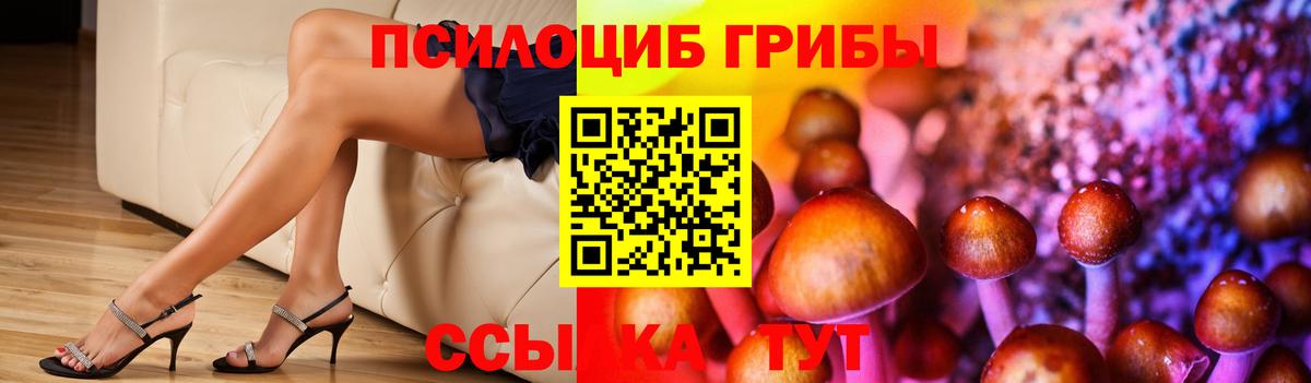 Галлюциногенные грибы Magic Shrooms Элиста