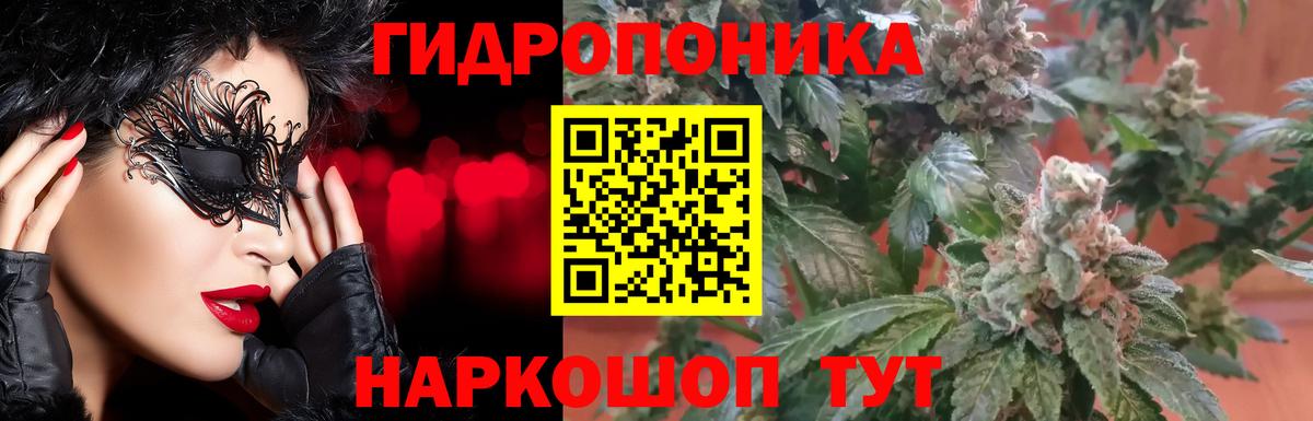 Шишки марихуана Amnesia  Вход с VPN  Бошки Шишки Amnesia  Элиста  Бошки марихуана Ganja 